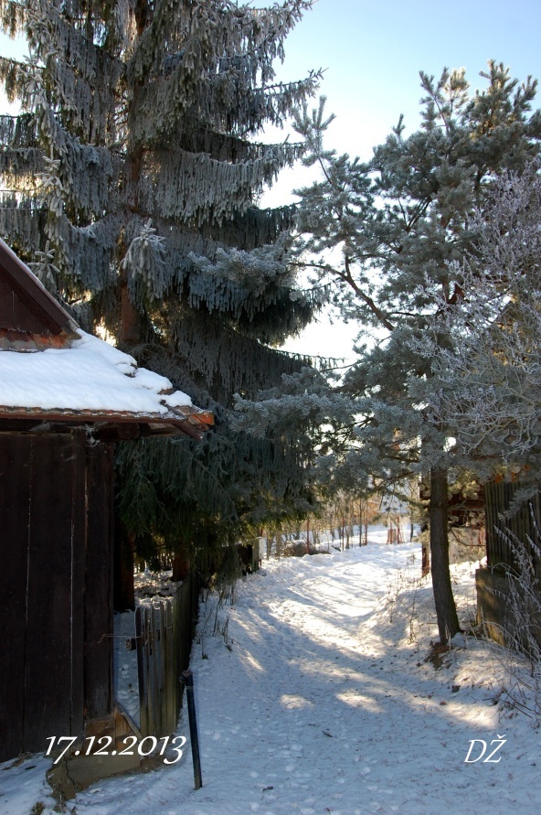 DSC_9633a