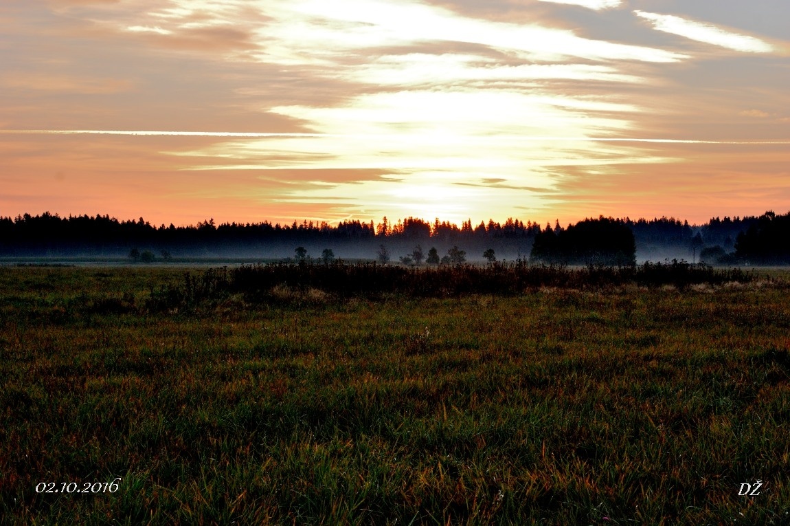 DSC_5165
