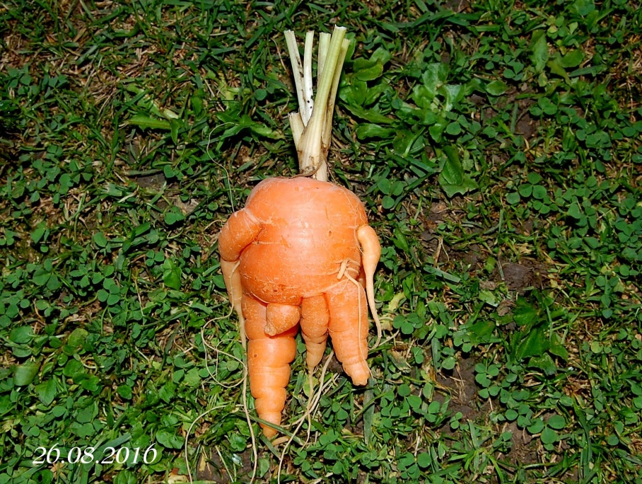 TUČKO S DOBROU VÝBAVOU