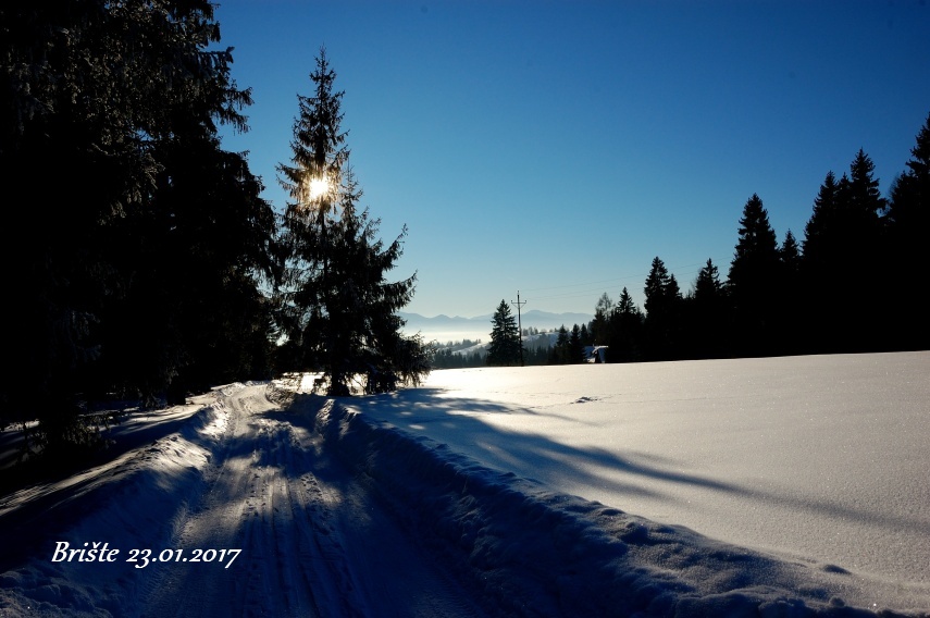 DSC_6869