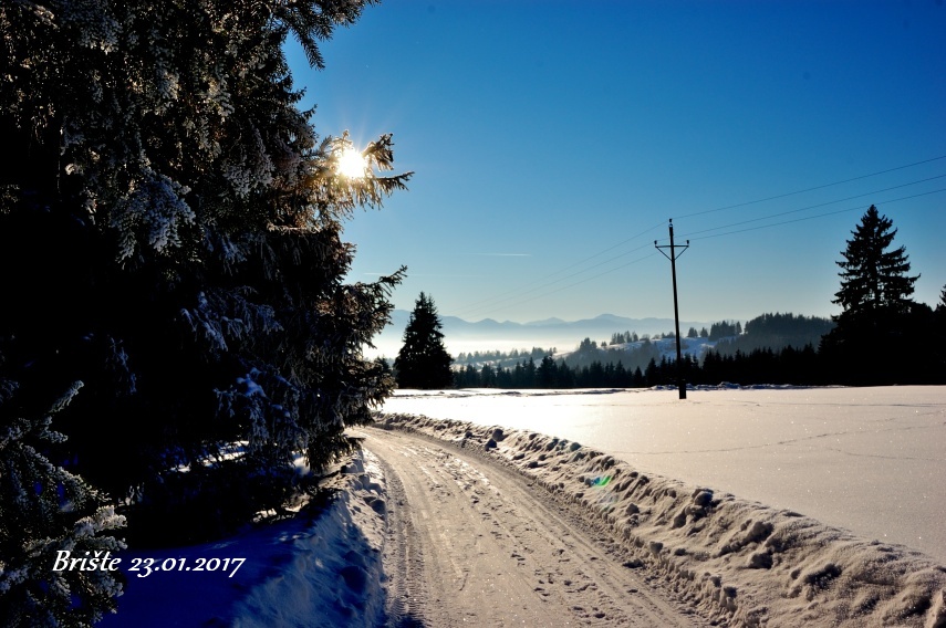 DSC_6876