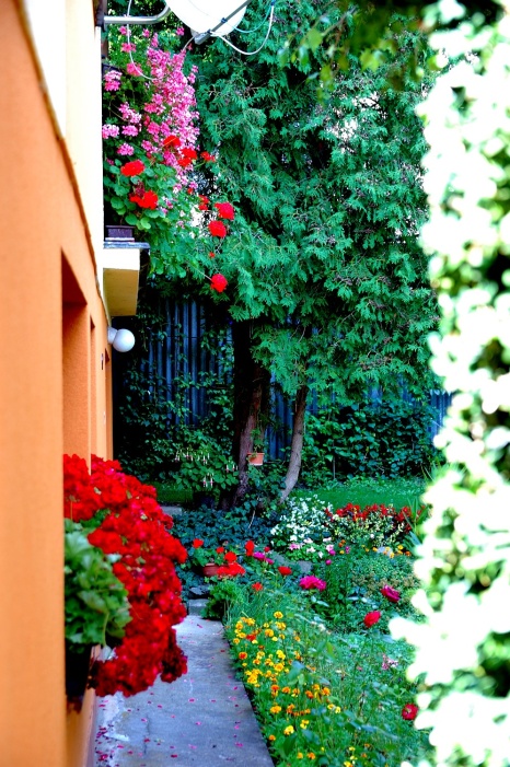 DSC_9525_01
